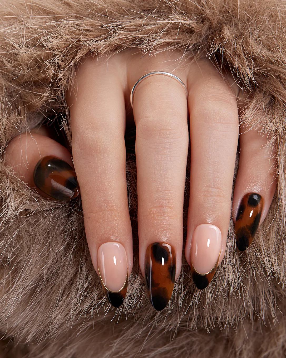 Leopard Luxe - Image 5