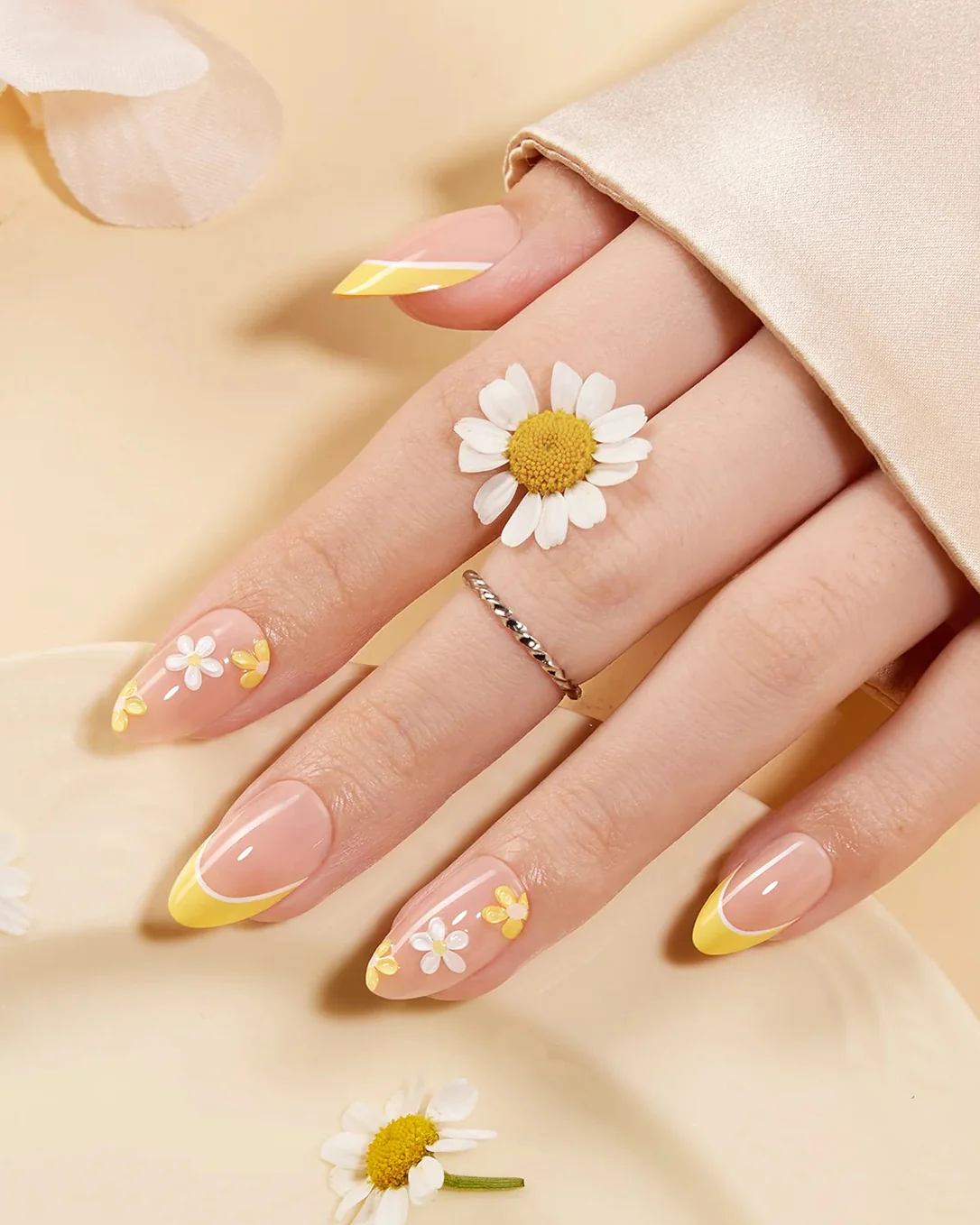 Sunlit Daisy - Image 5